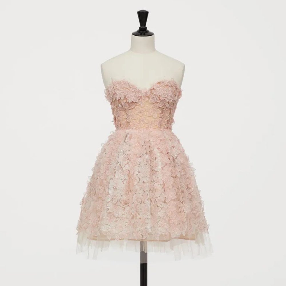 Giambattista Valli X H&M HM Short Tulle 3D Lace Dress Pink - EU 38, US 4-6